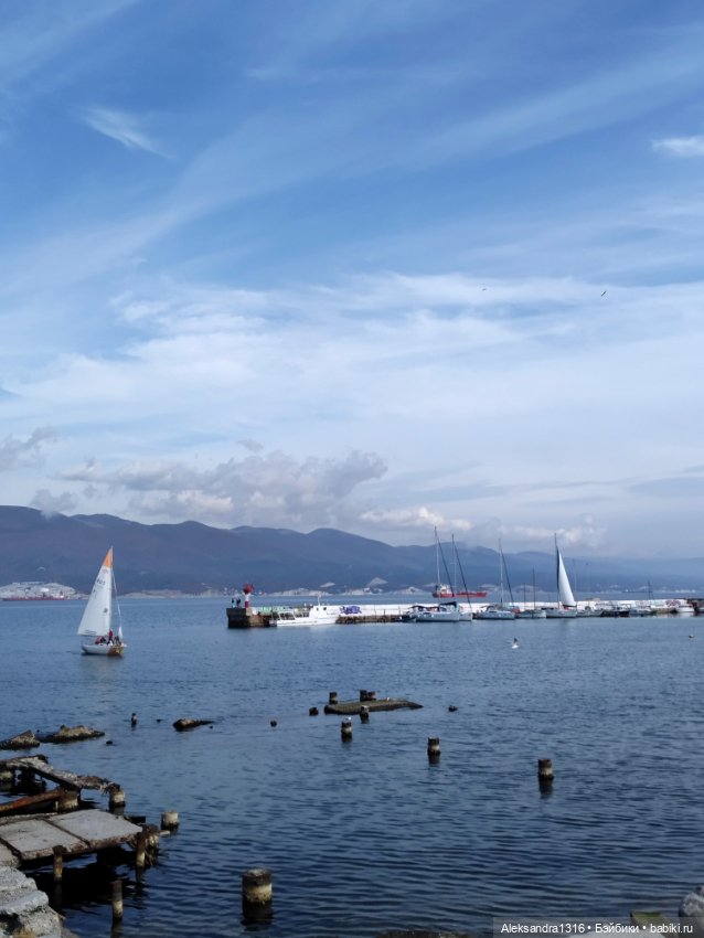 Русалочка🌊 — Аниме куклы (MJD/Винил): Imomo