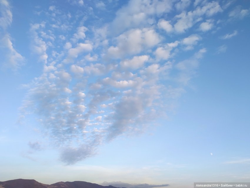 Русалочка🌊 — Аниме куклы (MJD/Винил): Imomo