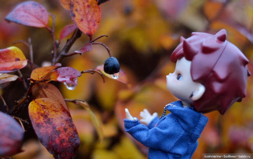 В каждом из нас живет чёртик (фото 7)