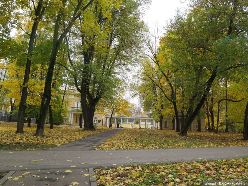 Золотая осень в усадебном парке в Москве (фото 3)