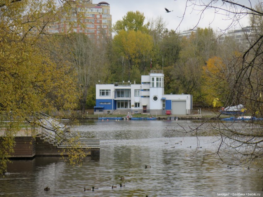 Золотая осень в усадебном парке в Москве