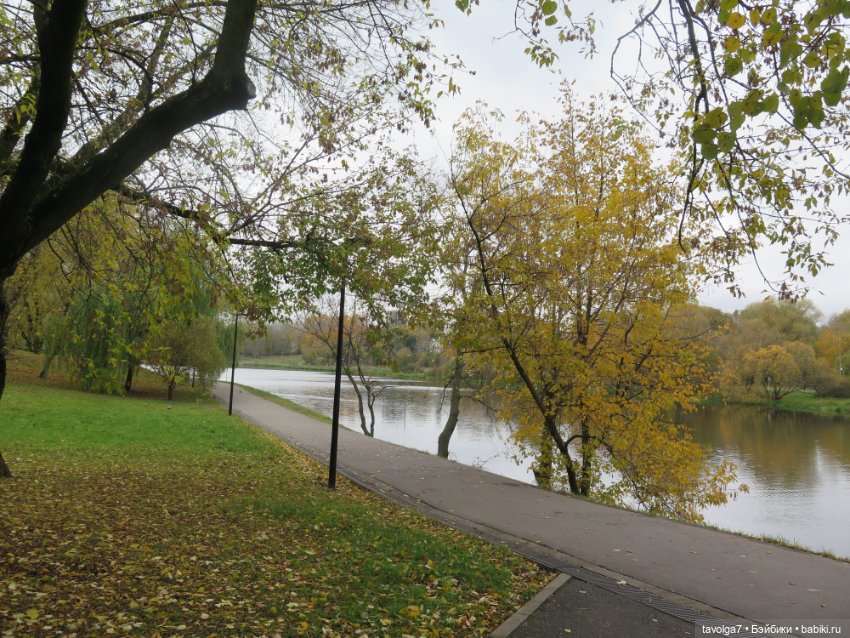 Золотая осень в усадебном парке в Москве (фото 2)
