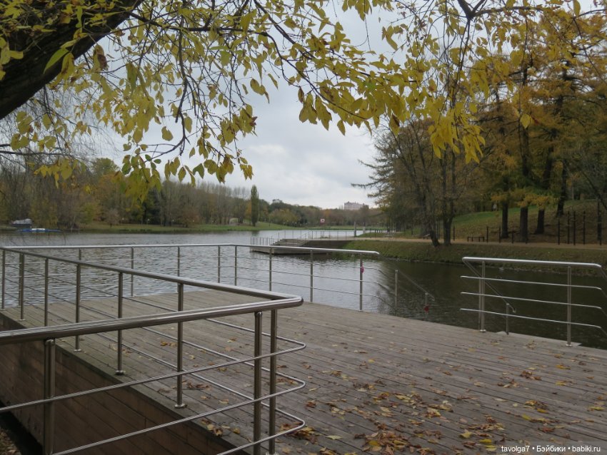 Золотая осень в усадебном парке в Москве