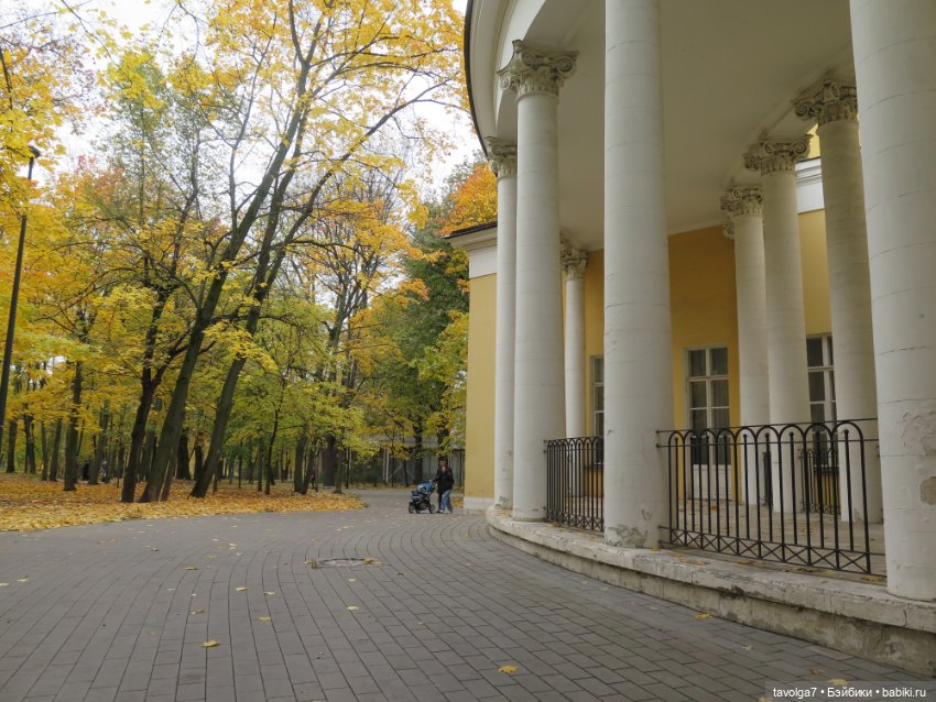 Золотая осень в усадебном парке в Москве (фото 5)