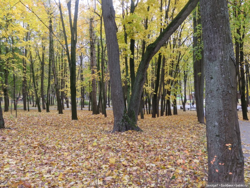 Золотая осень в усадебном парке в Москве