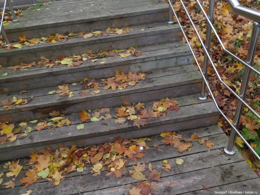 Золотая осень в усадебном парке в Москве