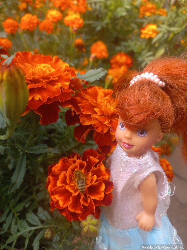 Мои рыжики, мои солнышки — Коллекции игровых кукол (Playline): фото полок