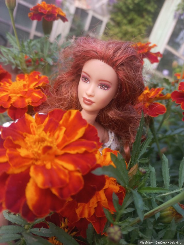 Мои рыжики, мои солнышки — Коллекции игровых кукол (Playline): фото полок