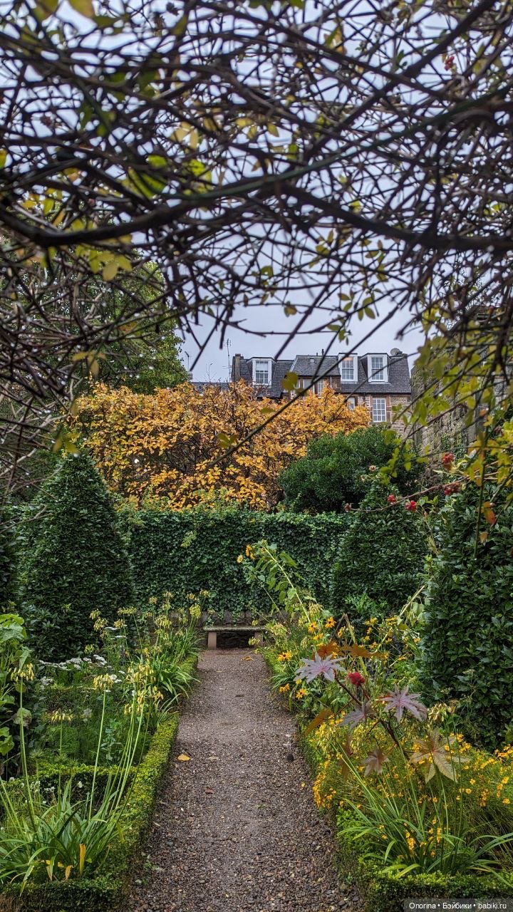 Антикварная лавка в Эдинбурге (фото 5)