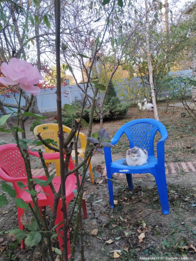 Баболечки вышли погулять — Куклы Baboliy (Баболи