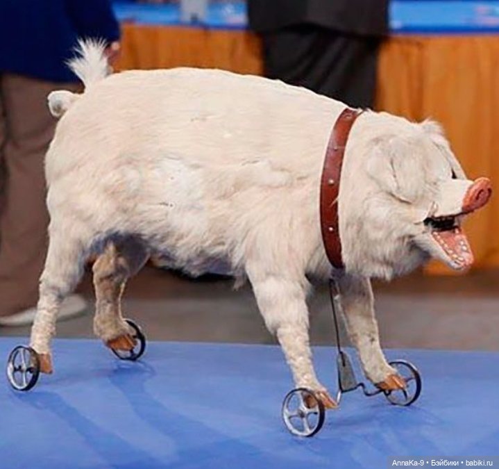 Антикварные кукольные звери (фото 4)