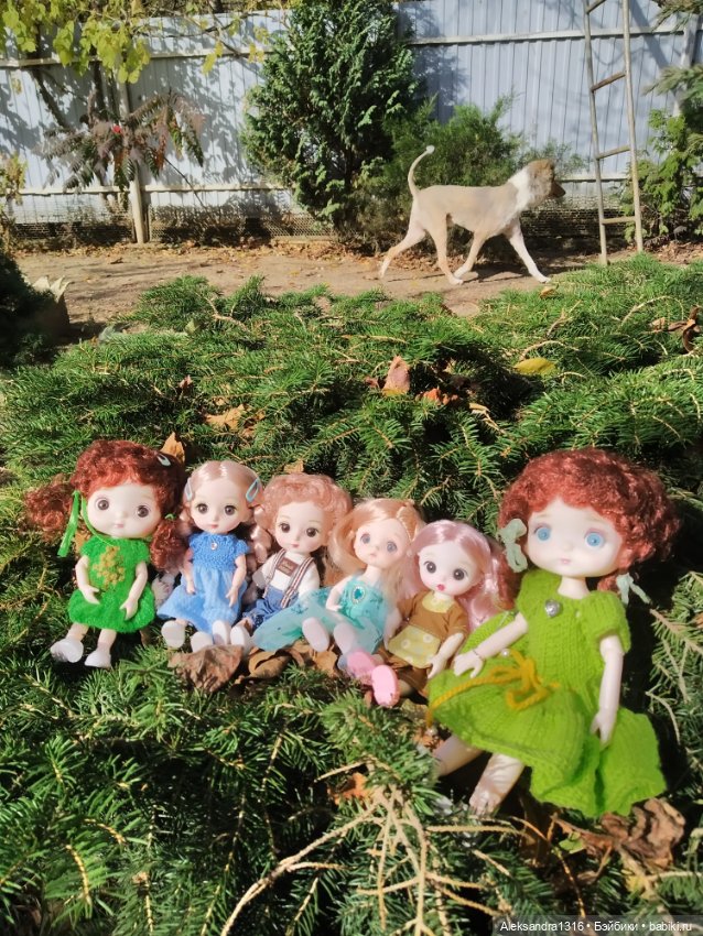 Баболечки вышли погулять — Куклы Baboliy (Баболи