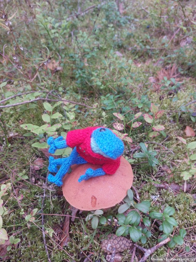 Лягухи — Вязаные игрушки и амигуруми: крючком