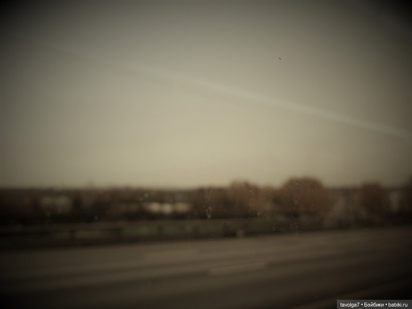 Ранний Самайн 2023 и осенний лес (фото 7)