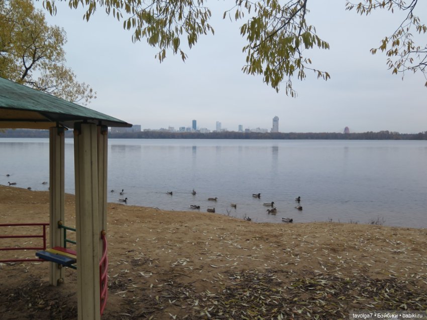 Ранний Самайн 2023 и осенний лес