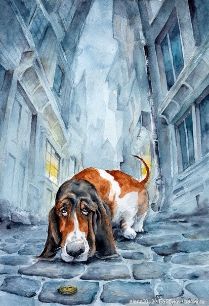 Город собак, где живут добро, радость и немного грусти (фото 8)