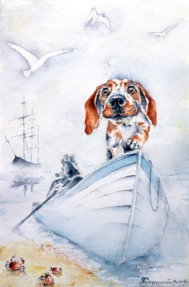 Город собак, где живут добро, радость и немного грусти