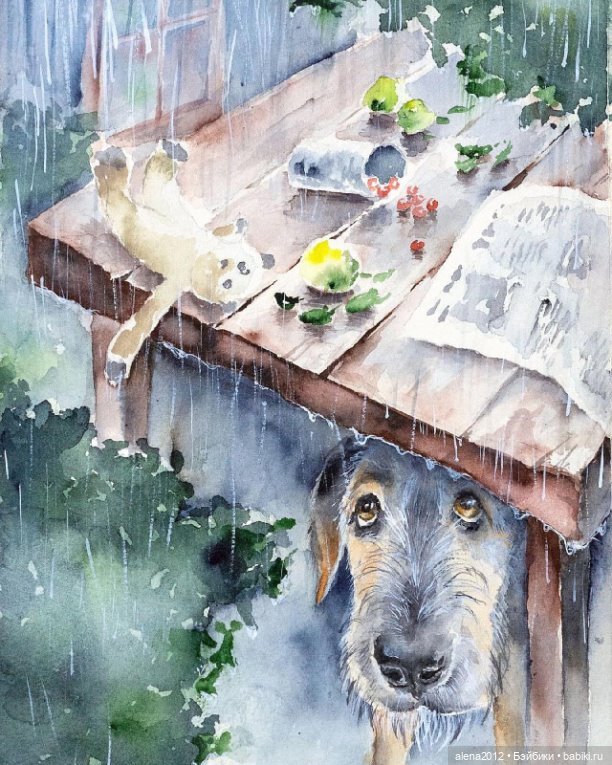 Город собак, где живут добро, радость и немного грусти