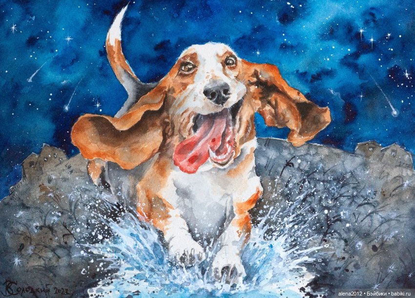 Город собак, где живут добро, радость и немного грусти