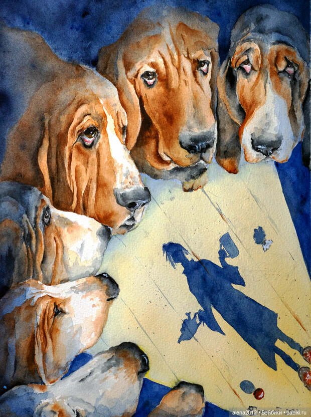 Город собак, где живут добро, радость и немного грусти