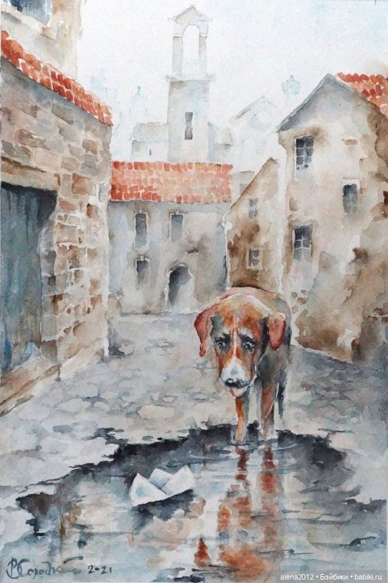 Город собак, где живут добро, радость и немного грусти