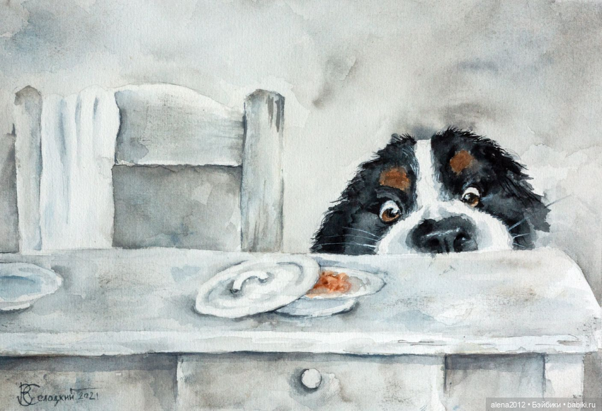 Город собак, где живут добро, радость и немного грусти (фото 3)