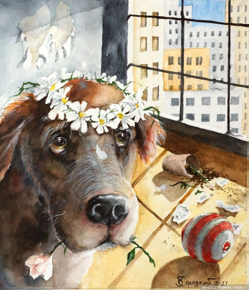 Город собак, где живут добро, радость и немного грусти