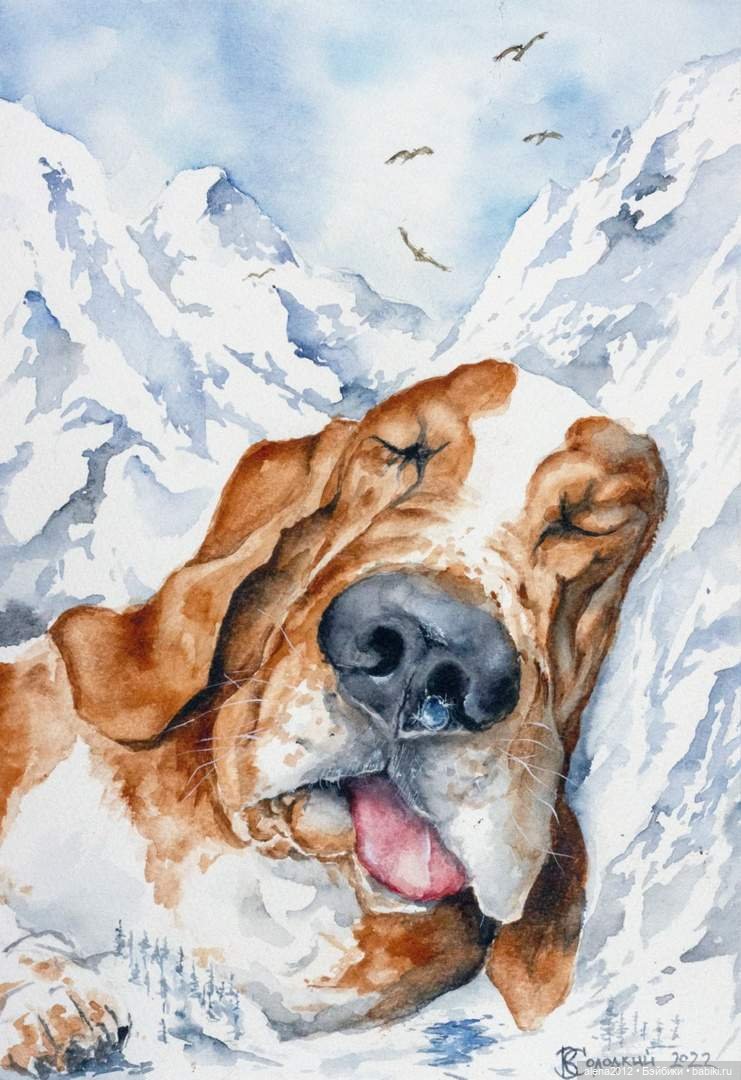 Город собак, где живут добро, радость и немного грусти