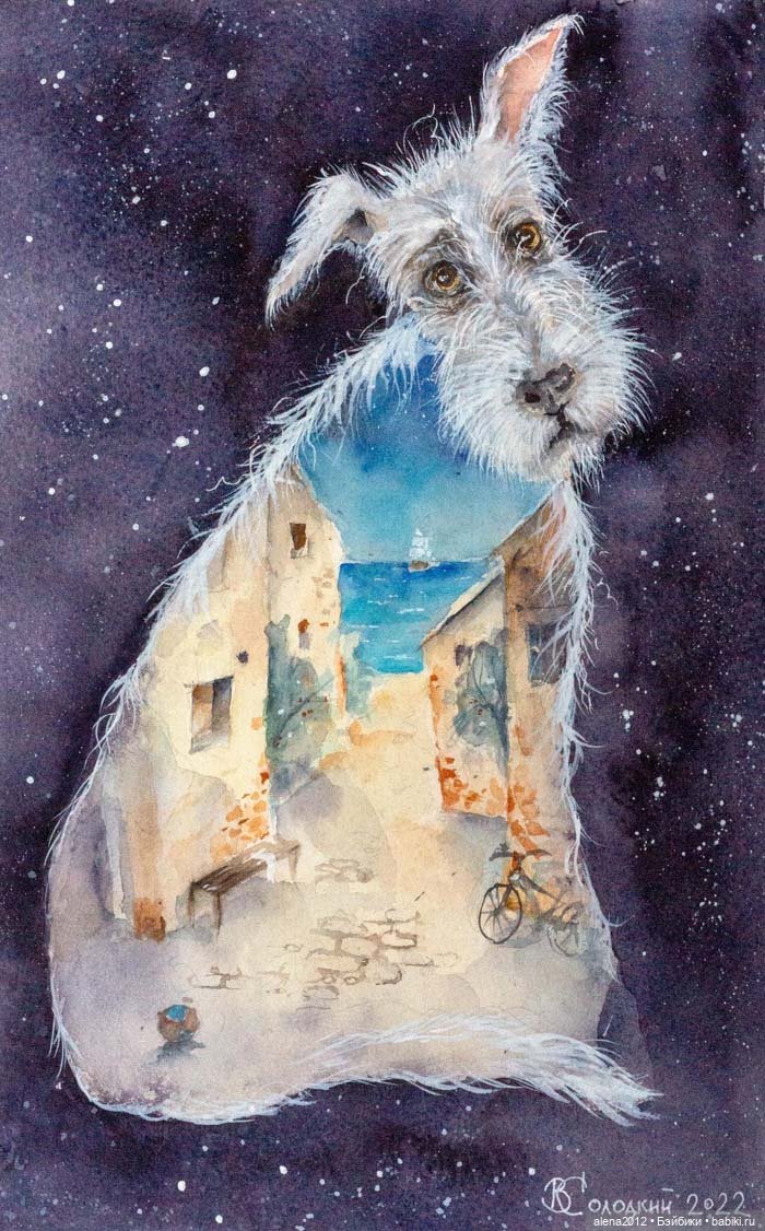 Город собак, где живут добро, радость и немного грусти