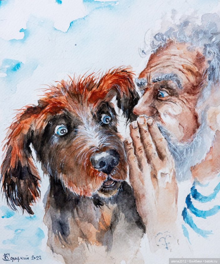 Город собак, где живут добро, радость и немного грусти (фото 5)