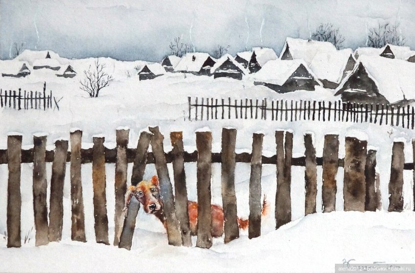 Город собак, где живут добро, радость и немного грусти