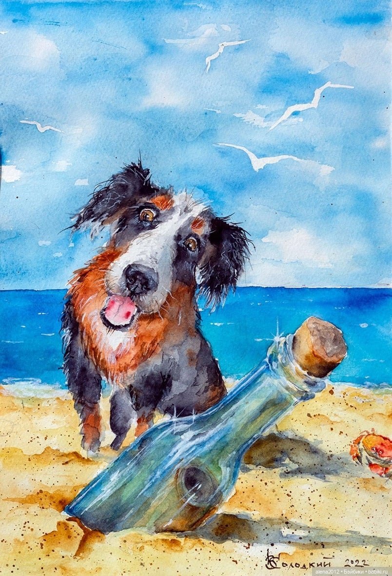 Город собак, где живут добро, радость и немного грусти