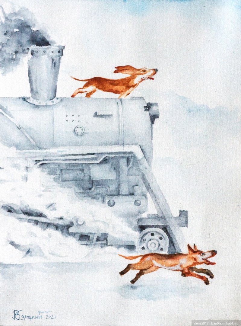 Город собак, где живут добро, радость и немного грусти