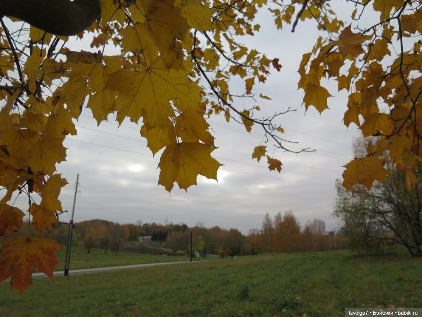 "Целая колода козырей" — Игровые куклы разных производителей (Разное): редкие бренды (фото 10)