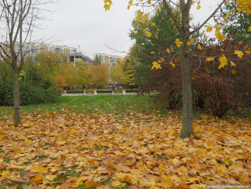 "Целая колода козырей" — Игровые куклы разных производителей (Разное): редкие бренды