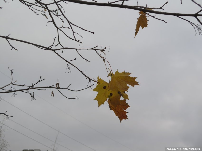 "Целая колода козырей" — Игровые куклы разных производителей (Разное): редкие бренды (фото 4)
