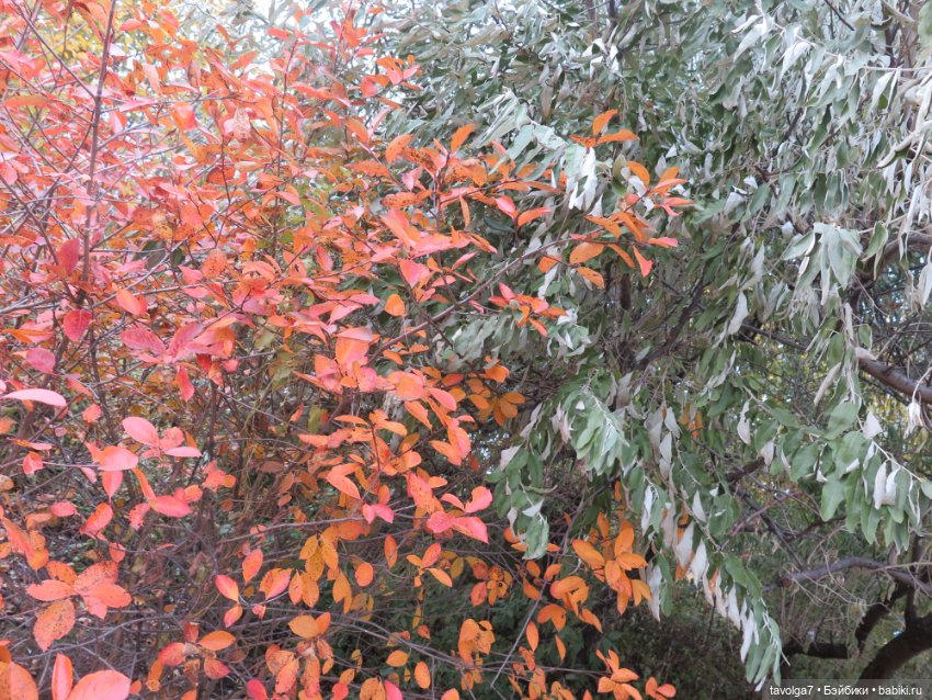 "Целая колода козырей" — Игровые куклы разных производителей (Разное): редкие бренды (фото 5)