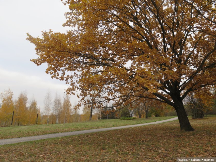 "Целая колода козырей" — Игровые куклы разных производителей (Разное): редкие бренды