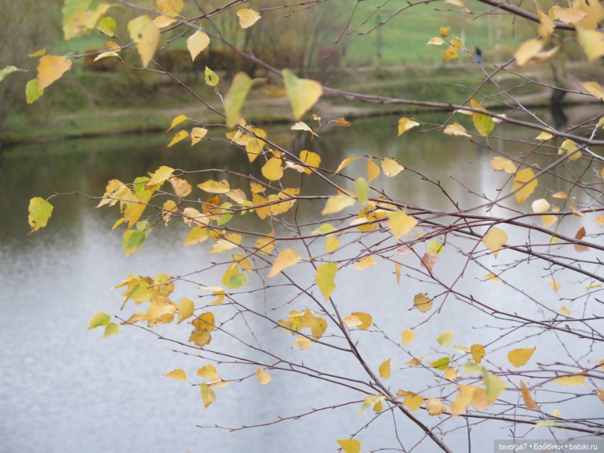 "Целая колода козырей" — Игровые куклы разных производителей (Разное): редкие бренды