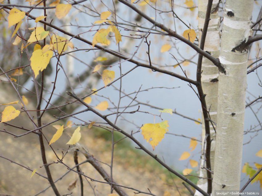 "Целая колода козырей" — Игровые куклы разных производителей (Разное): редкие бренды