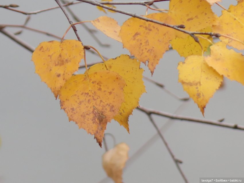 "Целая колода козырей" — Игровые куклы разных производителей (Разное): редкие бренды