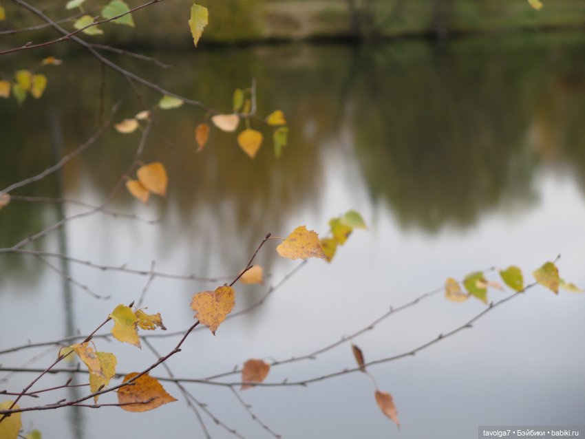 "Целая колода козырей" — Игровые куклы разных производителей (Разное): редкие бренды