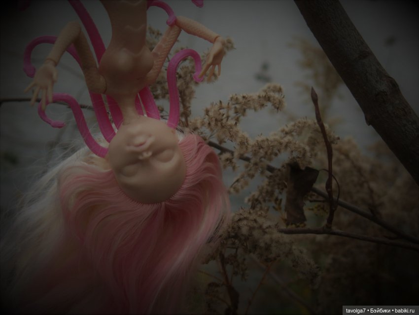 Безликая Горгона в поздней осени