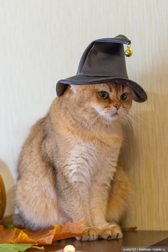 Поздравляем с Хэллоуином — Интересное и необычное: фотоподборки (фото 9)