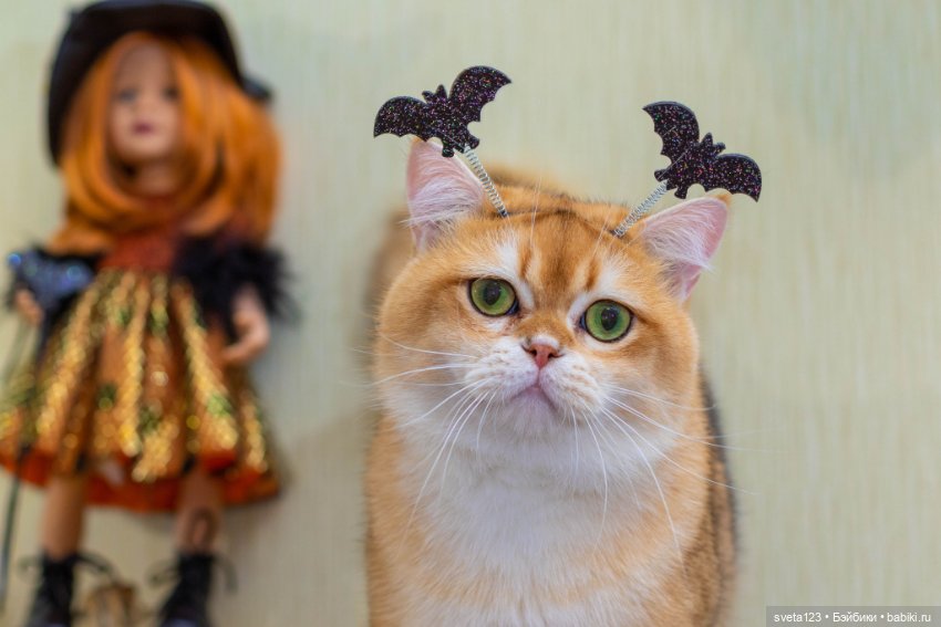 Поздравляем с Хэллоуином — Интересное и необычное: фотоподборки