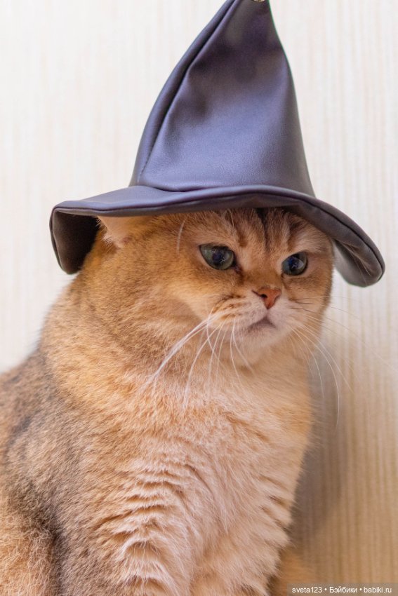 Поздравляем с Хэллоуином — Интересное и необычное: фотоподборки (фото 8)