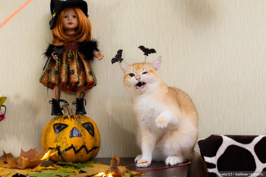 Поздравляем с Хэллоуином — Интересное и необычное: фотоподборки