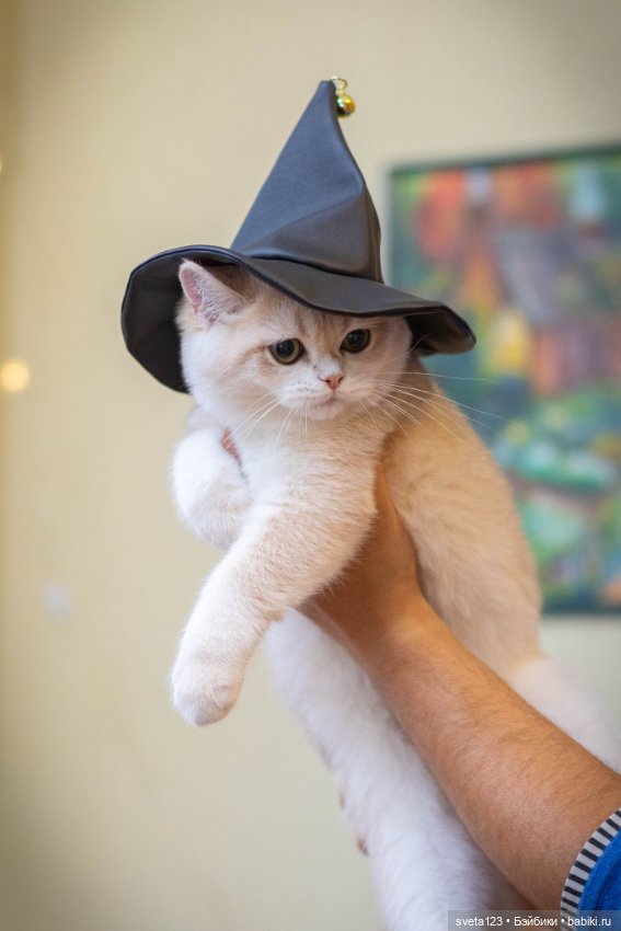 Поздравляем с Хэллоуином — Интересное и необычное: фотоподборки (фото 5)