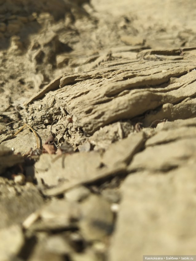 Экскурсия Джи Ен: дорога к древнему Храму