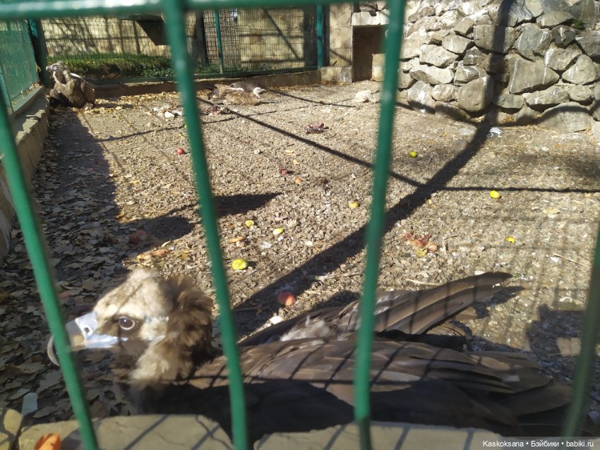 Экскурсия Джи Ен: прогулка в ущелье реки Алибек